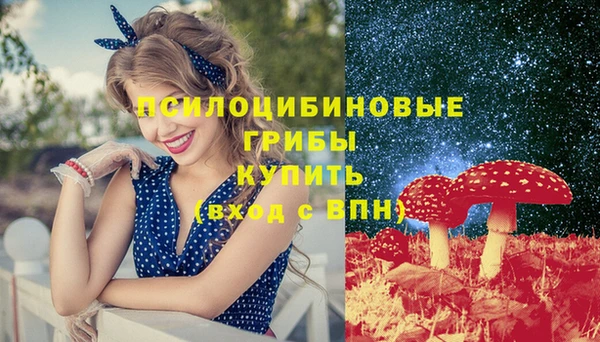 шишки Алексин