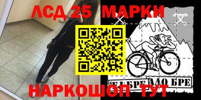 шишки Конаково
