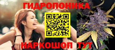 молекула духа Коммунар