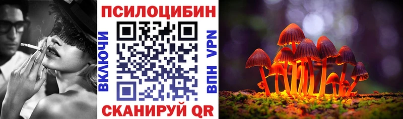 наркотики  нарко площадка состав  Галлюциногенные грибы Psilocybine cubensis  Кондопога  МЕГА ССЫЛКА 