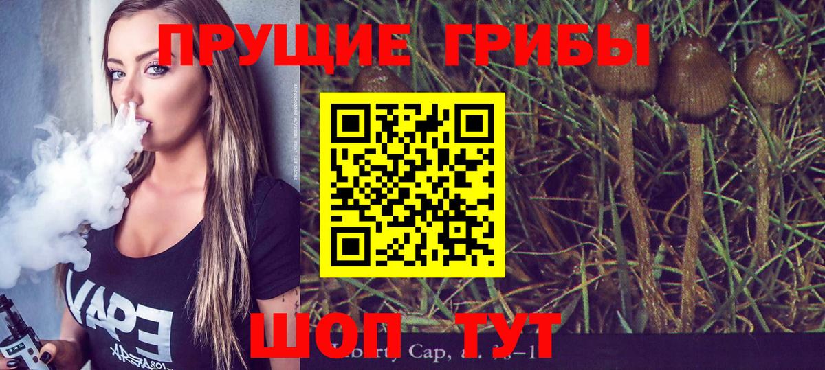 Галлюциногенные грибы Psilocybine cubensis Кондопога