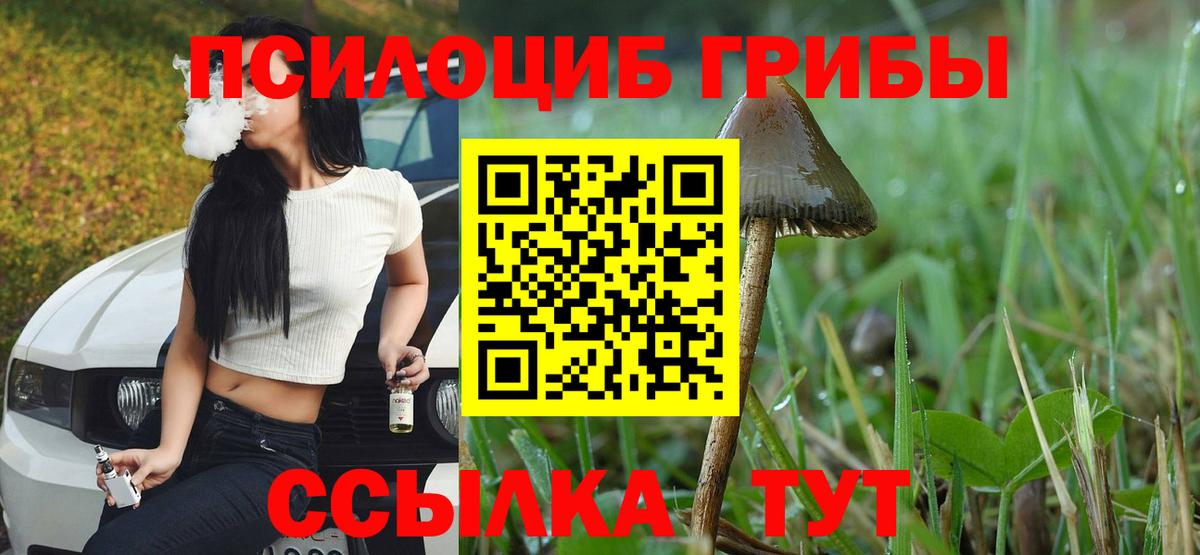 Псилоцибиновые грибы GOLDEN TEACHER  Псилоцибиновые грибы Magic Shrooms  Кондопога  Вход с VPN 
