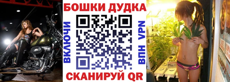 Бошки Шишки план купить наркотики сайты Кондопога